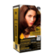 TH V-COLOR HAIR DYE N6.31 WITHOUT AMMONIA DARK GOLDEN ASH BLONDE
