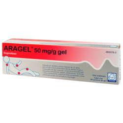 ARAGEL 50 MG/G GEL TOPICO 60 G