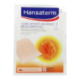 Hansaterm 4,8 Mg 2 Apositos Adhesivos Medicamentosos 12 X 18 Cm